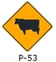 P-53